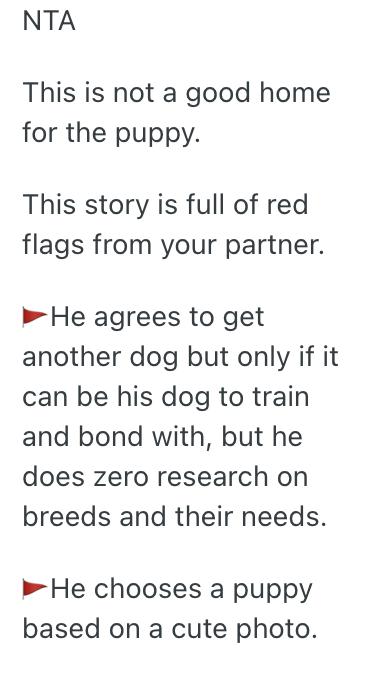 Screenshot 2025 04 03 at 7.22.02 PM Her Boyfriend Isnt Helping Out With Their New Puppy, So She Wants to Give it Away To Someone Else